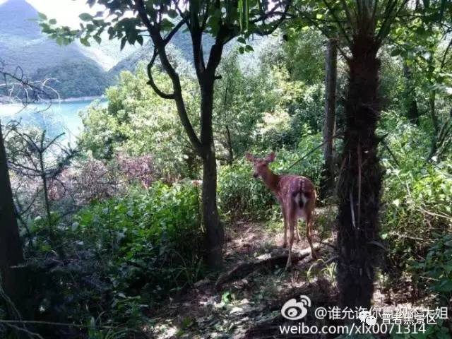 微信图片_20170812084535