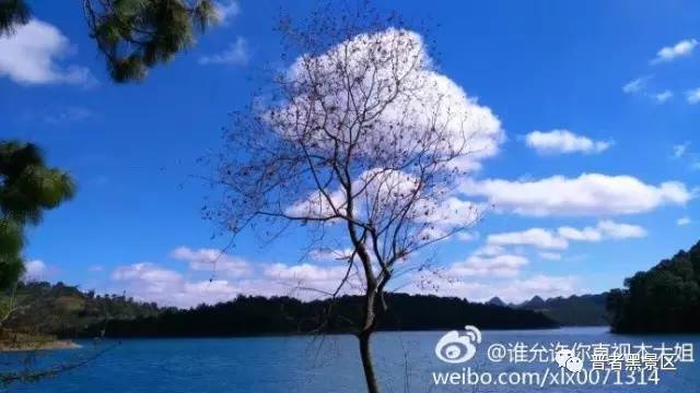 微信图片_20170812084523