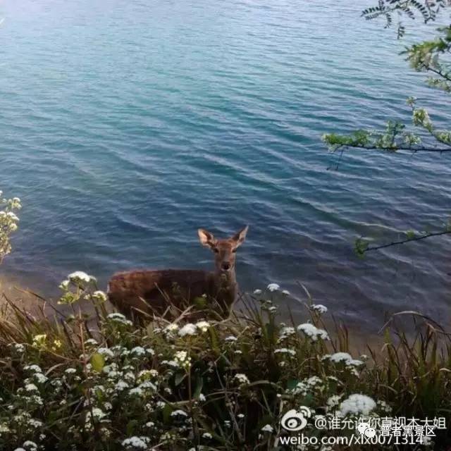 微信图片_20170812084543