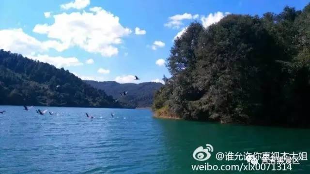 微信图片_20170812084533