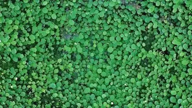 微信图片_20170818084427