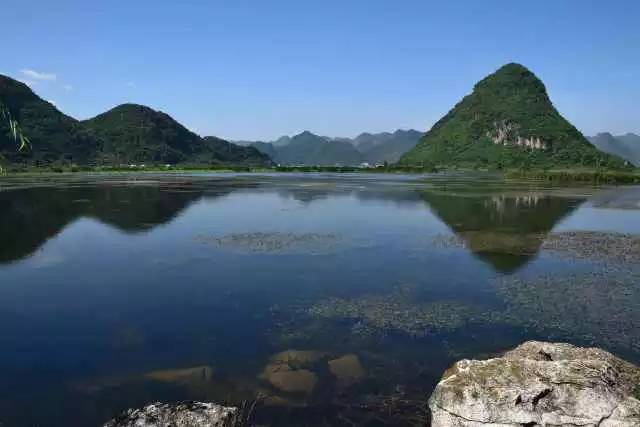公元前473年,吴王夫差在他的离宫修筑玩花池,希望借满塘荷花盛开的美景,在夏季的艳阳下博得西施一笑。这个失败的君王,第一次赋予了荷塘审美的意义。 史记 荷与人,是先从入食的甘美,到入眼入梦的唯美,才让人慢慢领略其美好的。其实在入食的甘美之前,人们划着轻舟没入荷塘中,从一枝荷花的花瓣深处,嗅到第一丝清芳,人对荷的审美就萌发了。 有清芳 荷的香气,是只有满塘盛开,置身其中才能闻到的清幽气味,是若隐若现,却真实存在的芬芳,香气中还带着莲藕的清甜。入夜后的荷花花瓣筋脉处,会在白昼炽热消散后,留下不被人注