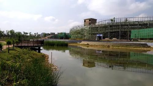 微信图片_20180524092648