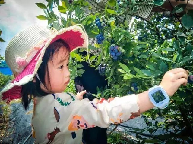微信图片_20180602143244