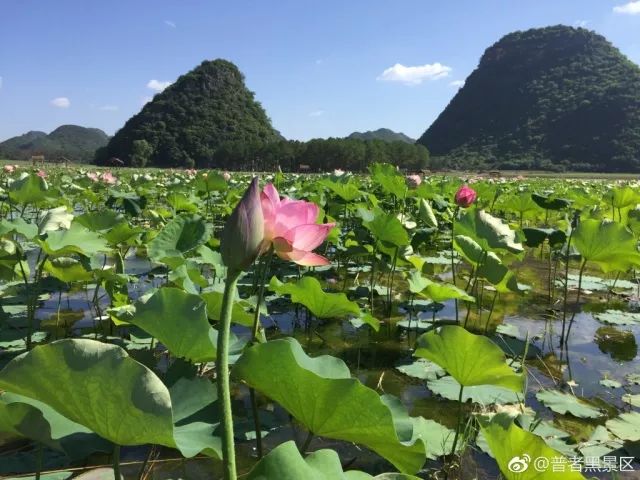 微信图片_20180606141309