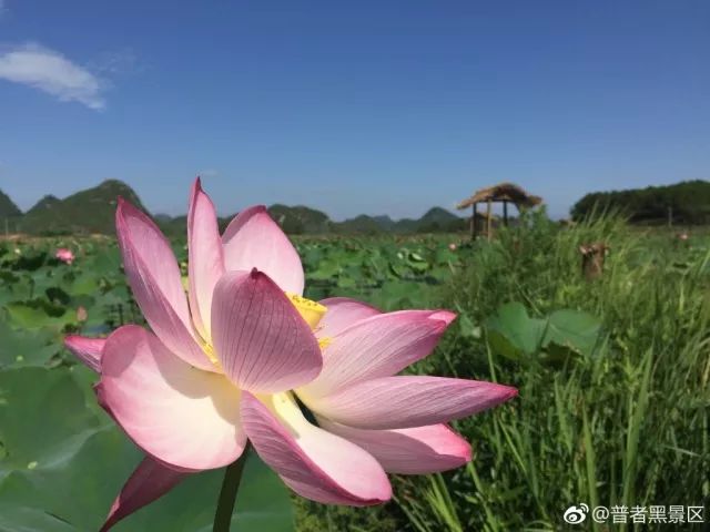 微信图片_20180609154232