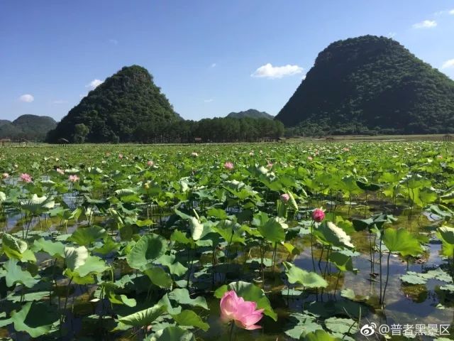 微信图片_20180609154226