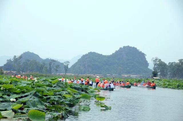 微信图片_20180625095916